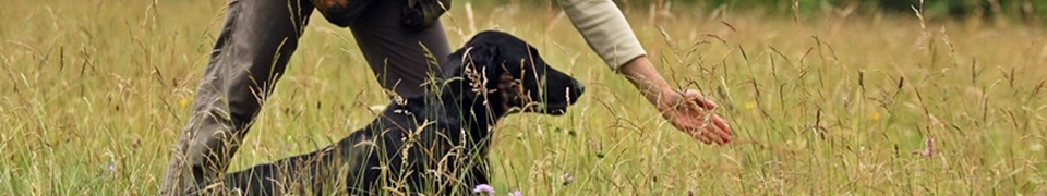 Deutscher Retriever Club e.V.